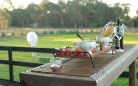 Wagtail Nest Country Retreat - Longford Vic 3851